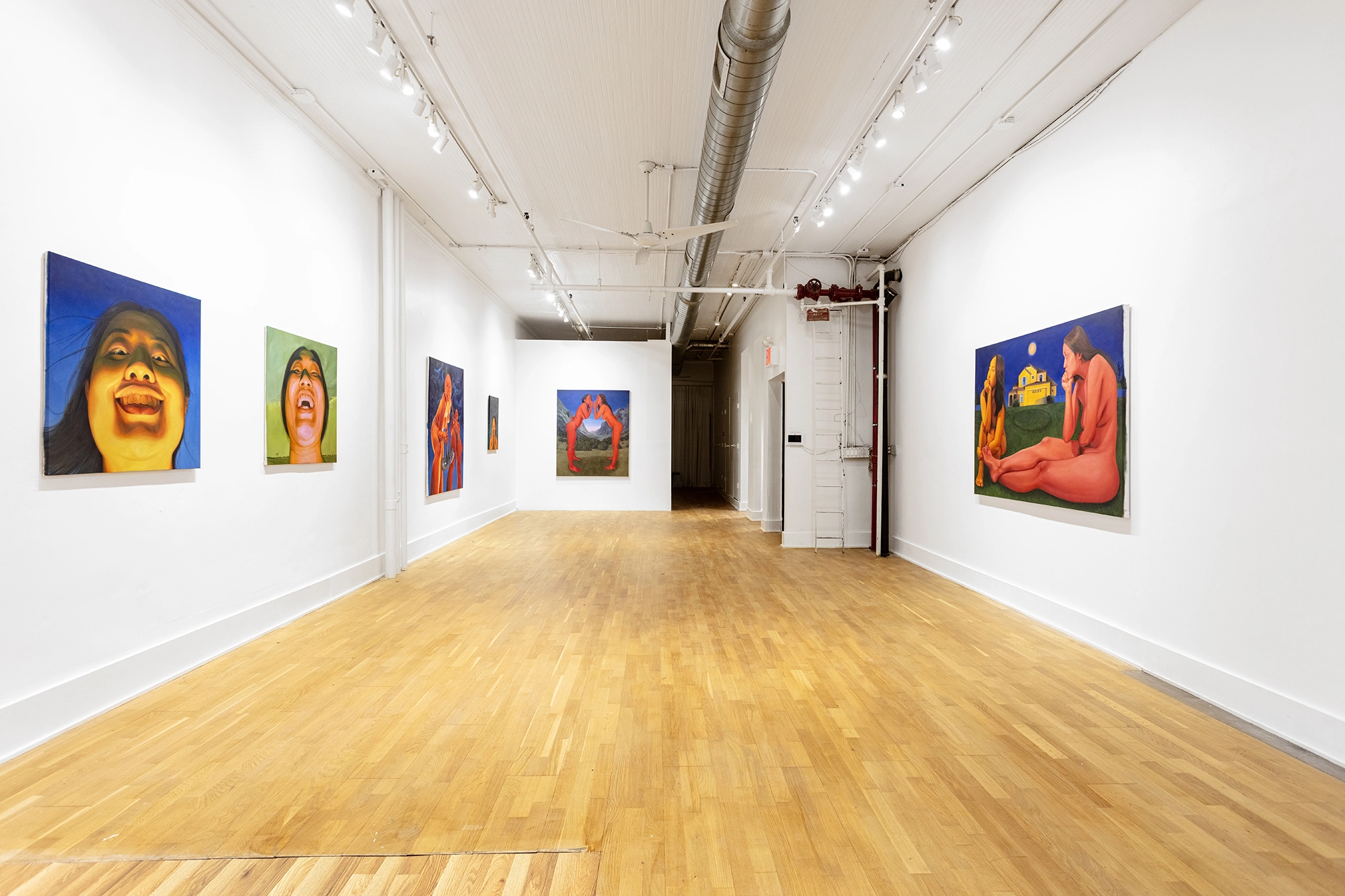 Out in The Open installation view 11